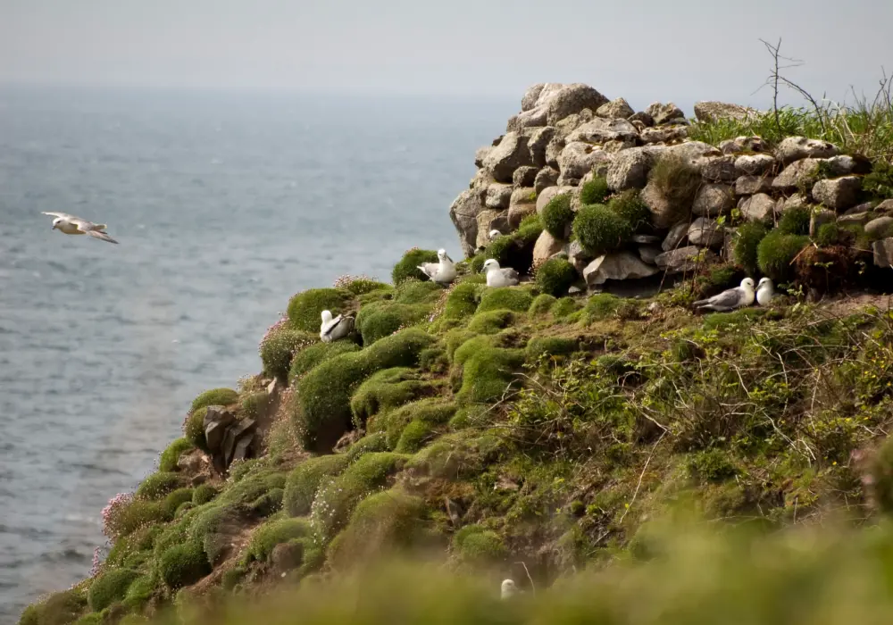 Birds spotting during Eco Tour