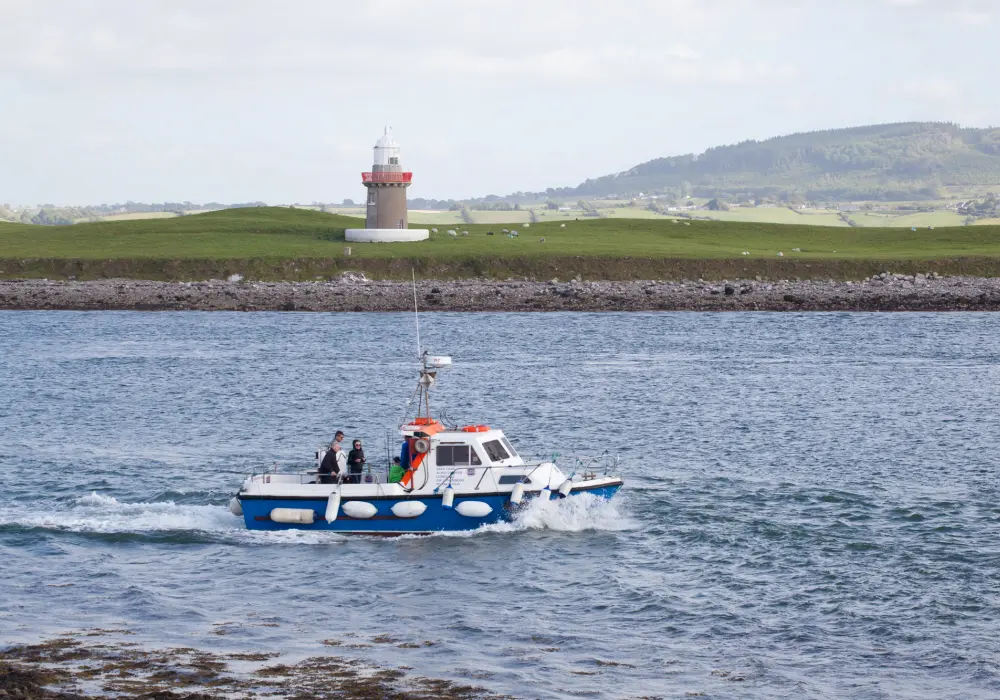 Coney Island Visit During Eco Tour