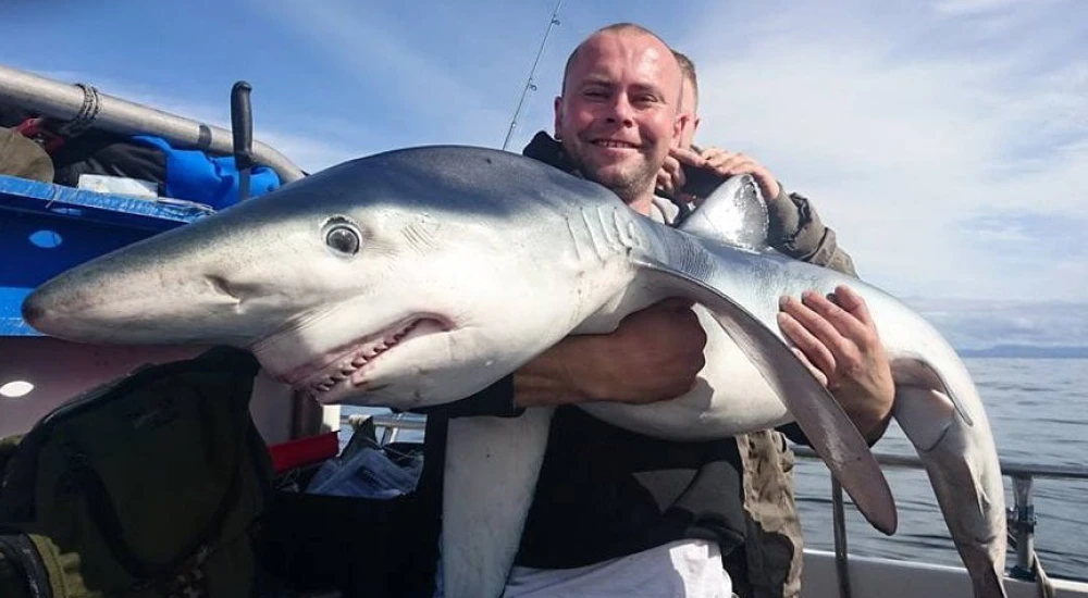 A man holding a blue shark