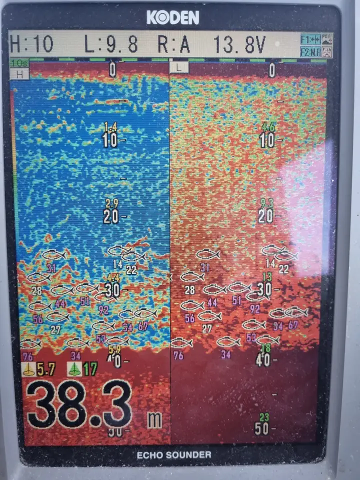 Bluefin Tuna Fishing With Sligo Boat Charters