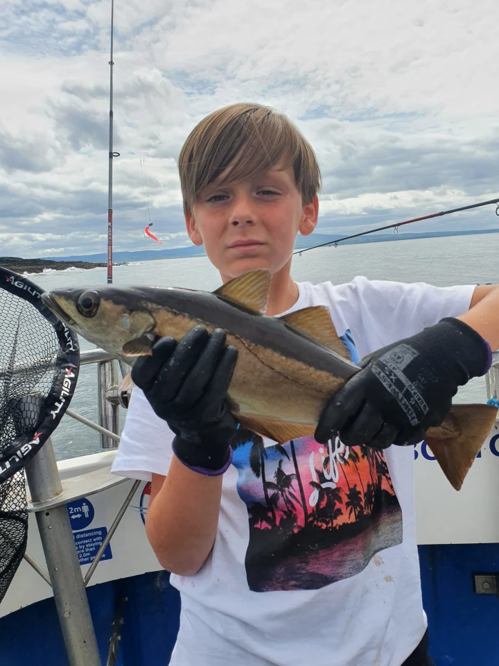 Pollack Sea Fishing Sligo