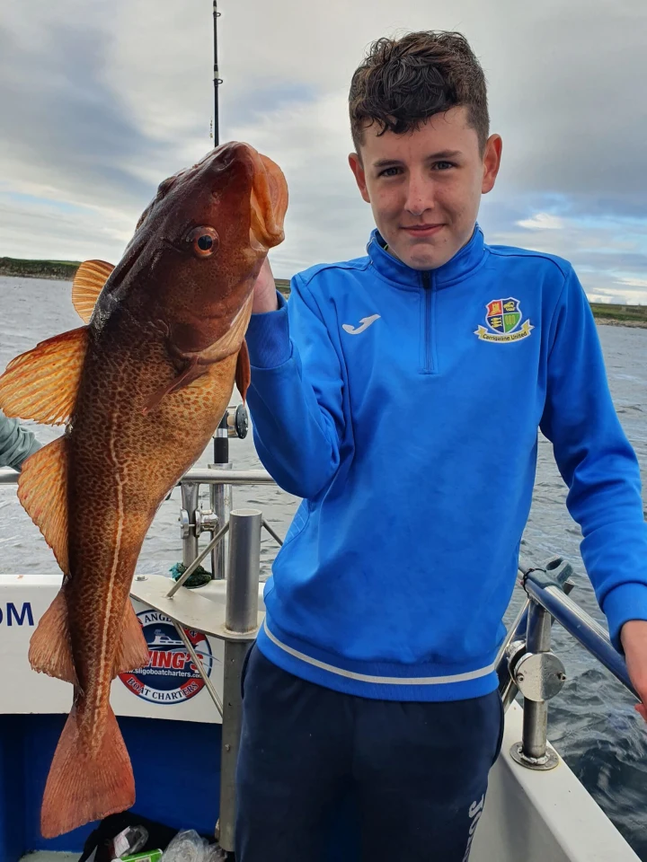 Cod Fishing Sligo Boat Charters