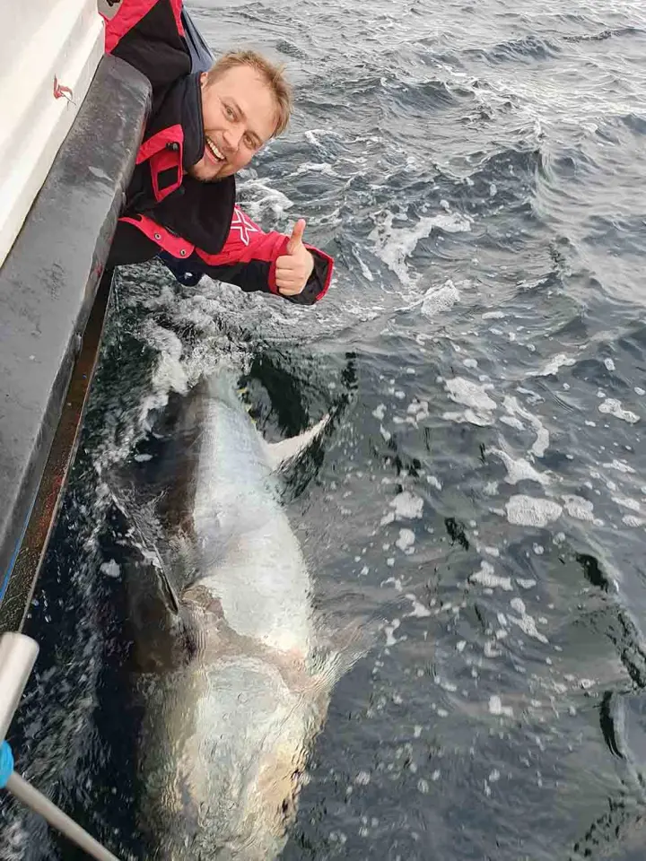 Bluefin Tuna Fishing With Sligo Boat Charters