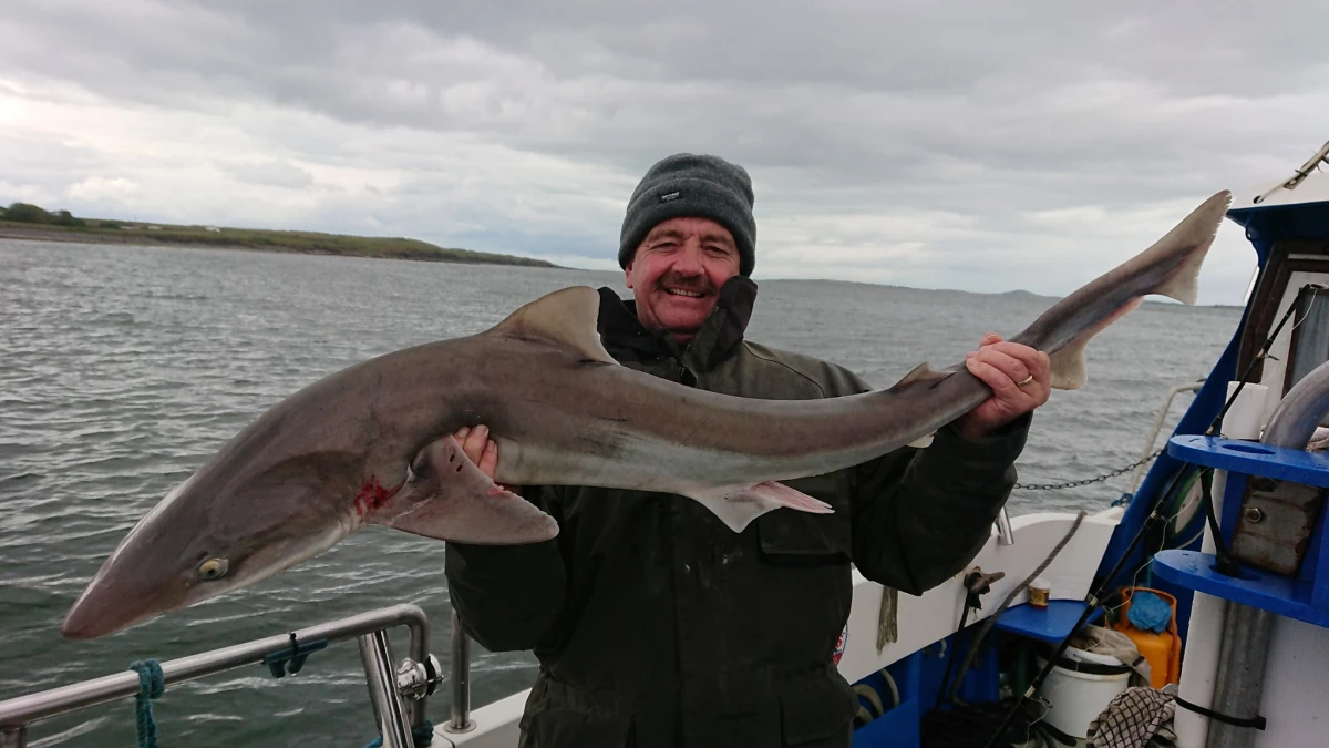 Game Fishing with Sligo Boat Charters