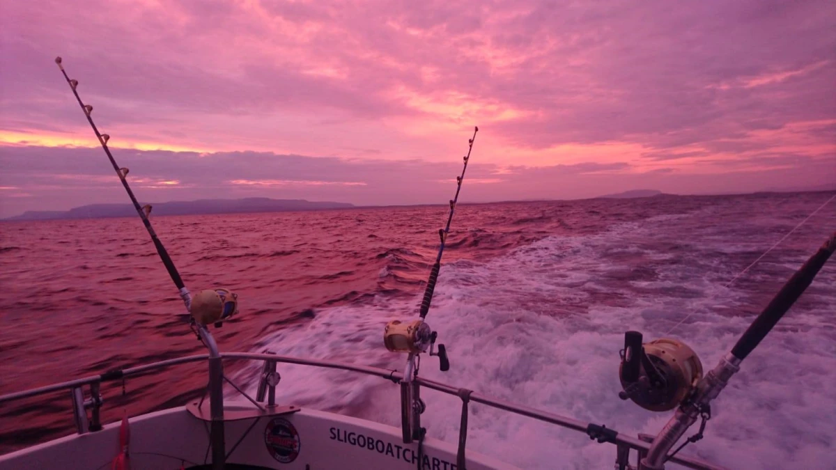 Fishing Rods And Tackle