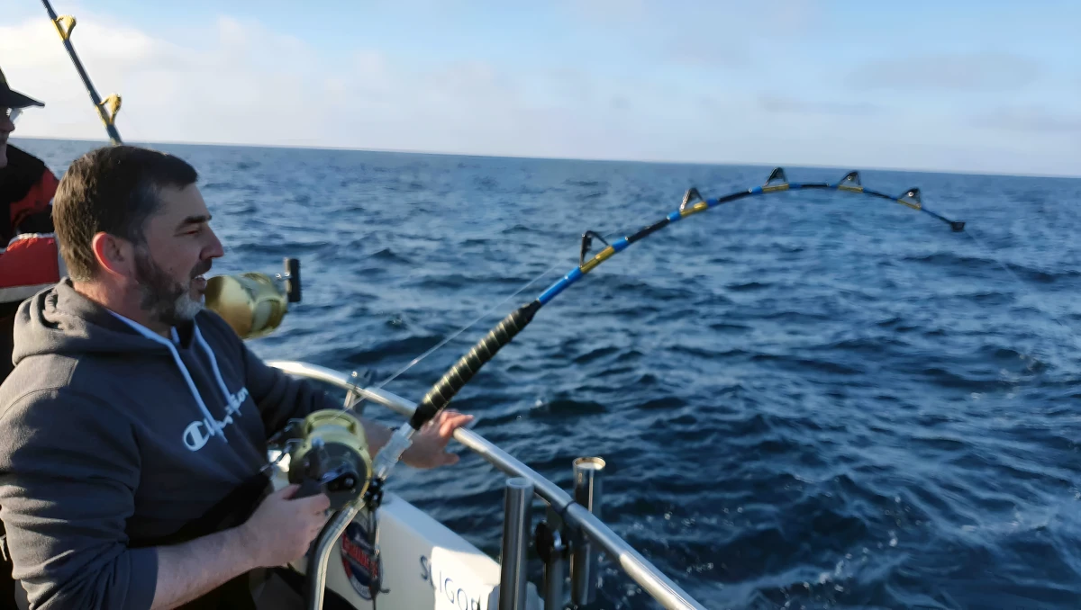 Bluefin Tuna Fishing With Sligo Boat Charters