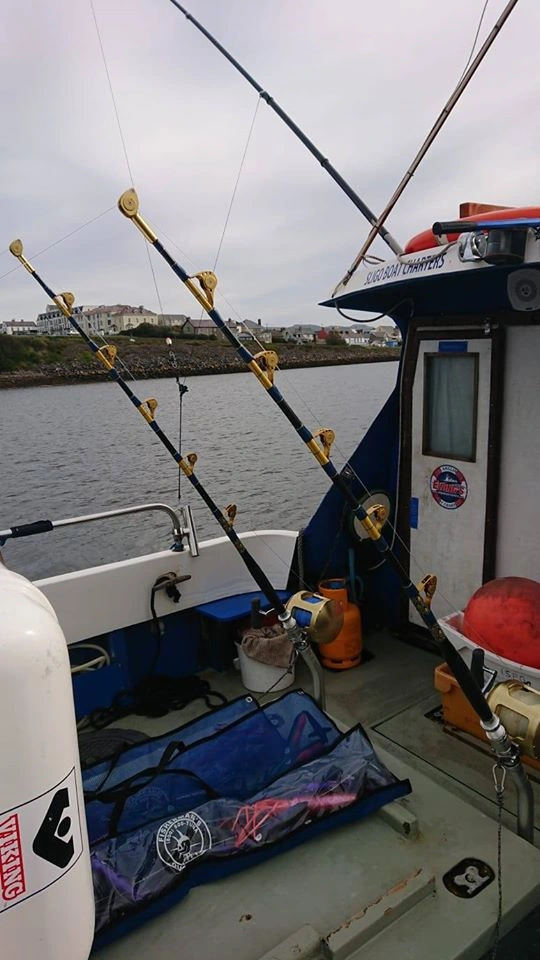 Fishing Rods And Tackle