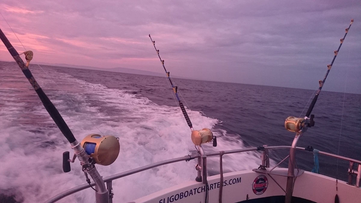 Fishing Rods And Tackle