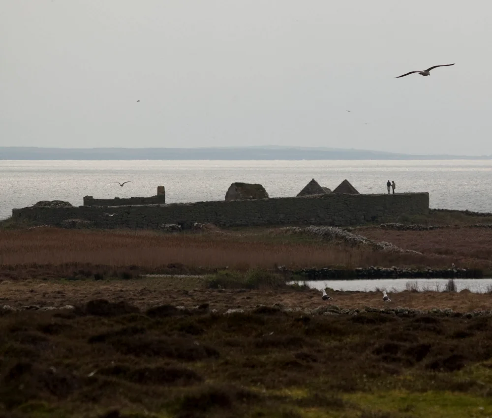 Ruins at Inishmurray Island
