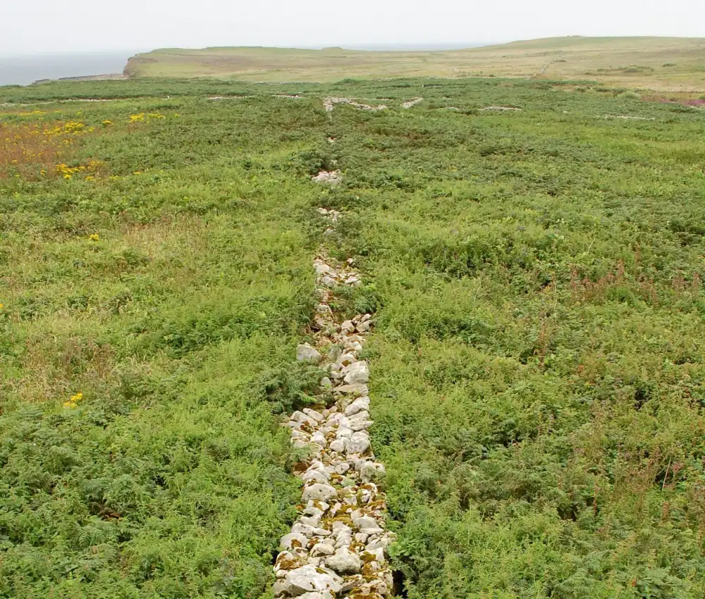 Inishmurray Island landscape