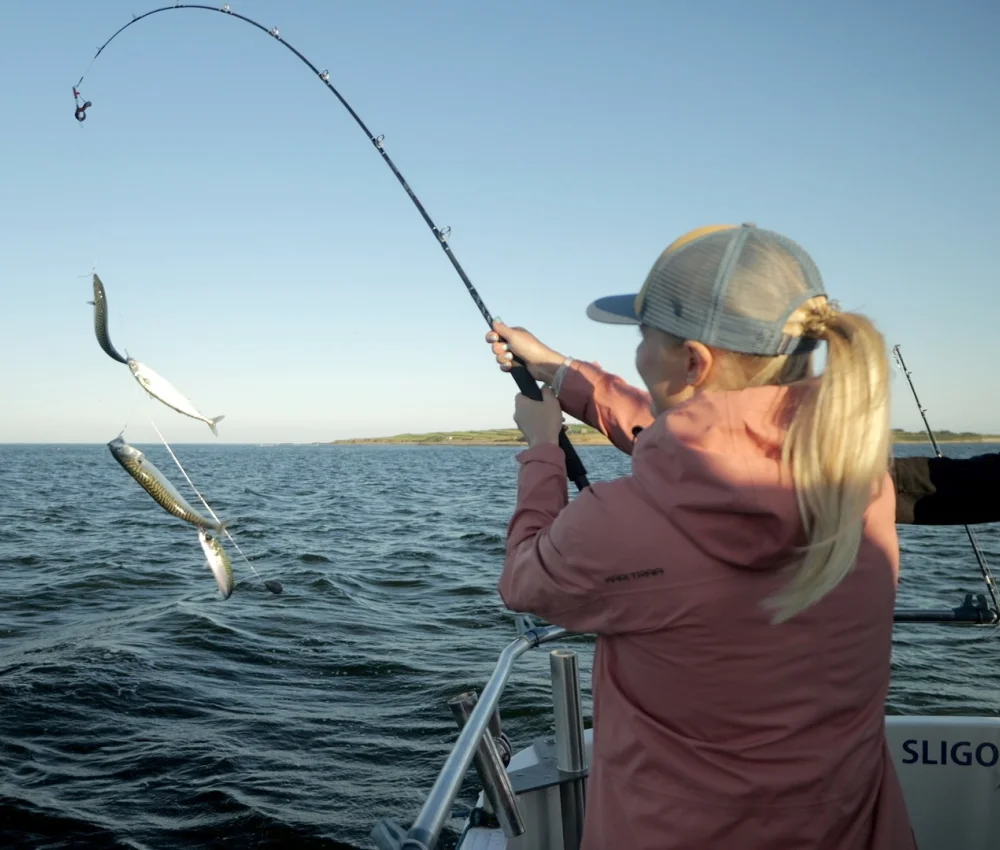 Light Gear Sea Angling with Sligo Boat Charter