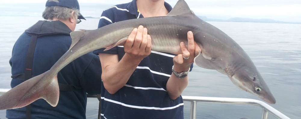 Sea Fishing in Deep Sea