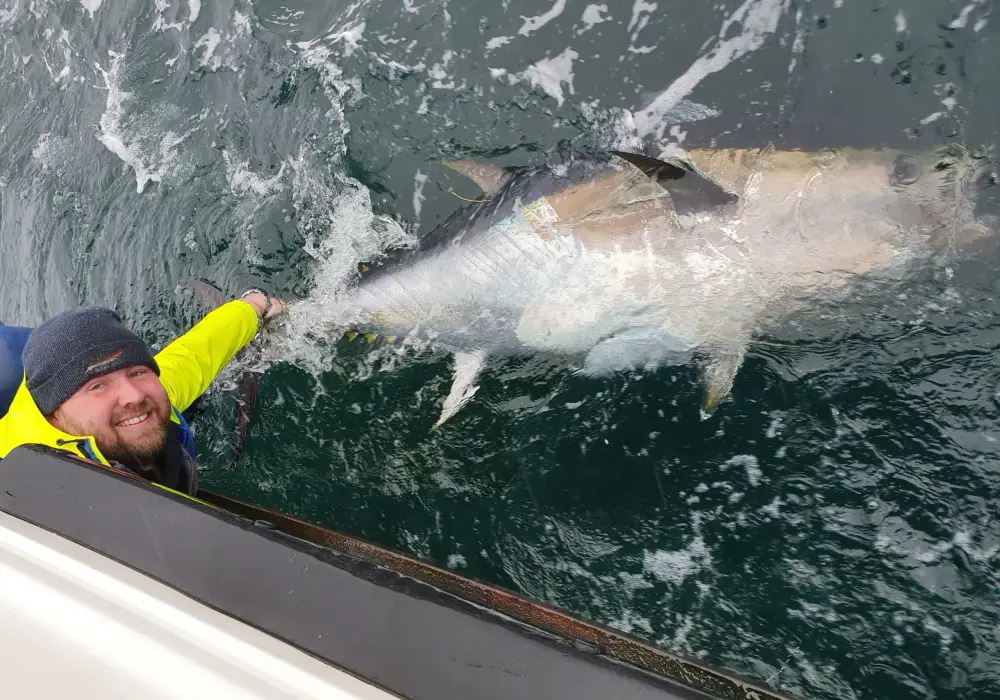Bluefin Tuna Fishing Season