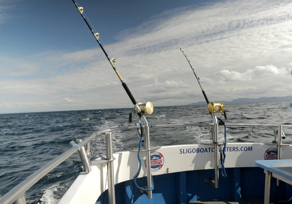 Fishing tackles on charter