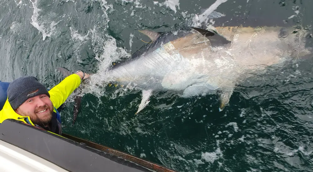 Full Day Bluefin Charter with Sligo Boat Charter
