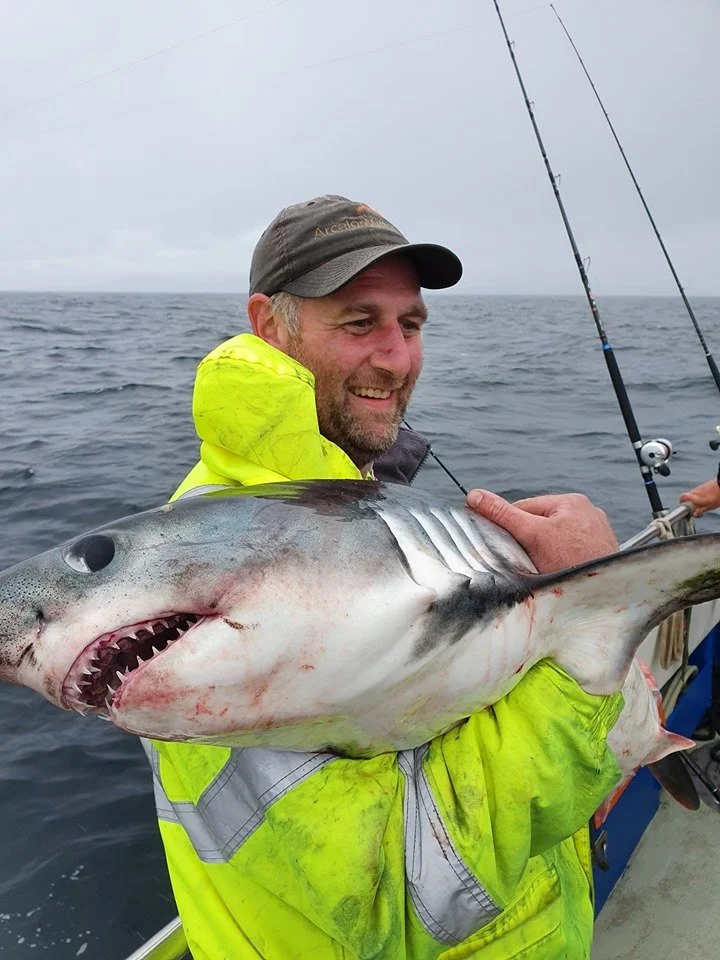 Shark Fishing Ireland